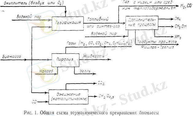 https://helpiks.org/helpiksorg/baza9/1376858218806.files/image036.jpg
