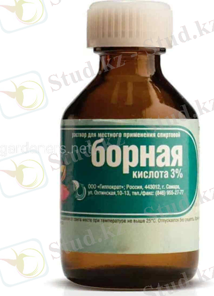https://static.ogorodniki.com/ogorod/54/xxxl_81d4ebb4-0537-4e8a-ab8b-4b84fe8be954.jpg
