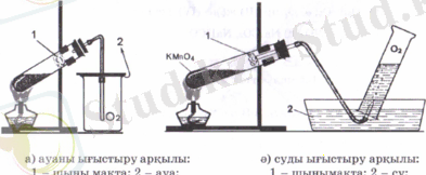 Ottek.PNG