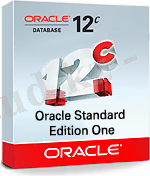 Oracle Database Standard Edition One - купить Oracle Database Standard Edition One, скачать Oracle Database Standard Edition One, описание Oracle Database Standard Edition One, функции Oracle Database Standard Edition One