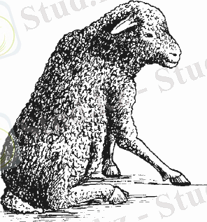 C:\Users\Мереке\Desktop\i_043.png