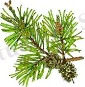 https://www.itest.kz/upload/images/1350282224.89.jpeg.png