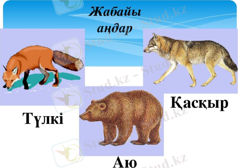 https://ds04.infourok.ru/uploads/ex/0170/0003aaef-998ac96b/img2.jpg