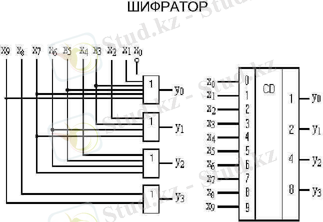 image-5.jpg