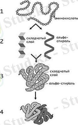 https://itest.kz/upload/images/1355215694.47.jpeg.jpg