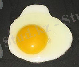 https://itest.kz/upload/images/1355215775.93.jpeg.jpg