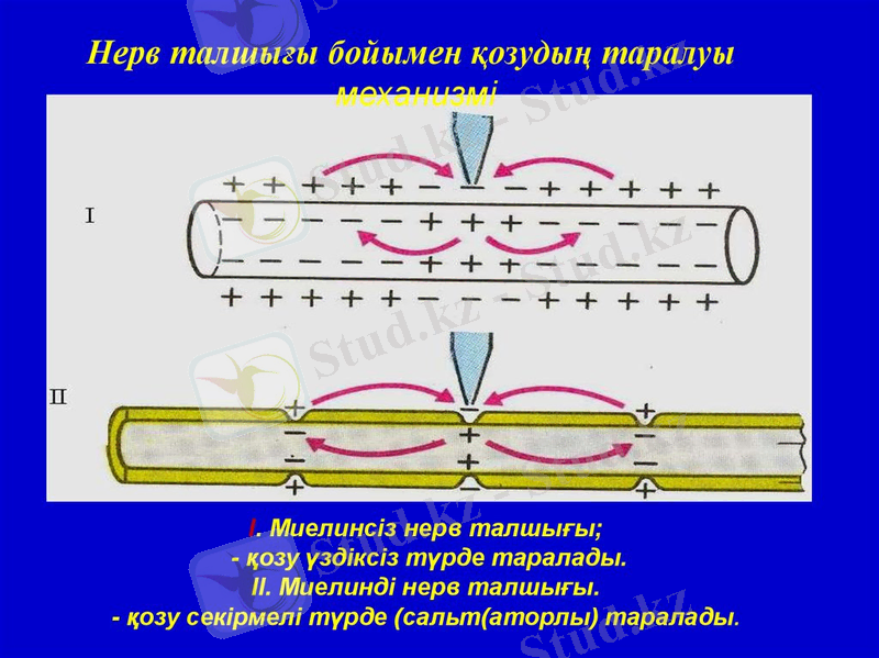 https://cf.ppt-online.org/files/slide/n/nZLm4zWwI5Y8fjltRvaeDABEKxMpFhoGQyCUHX/slide-65.jpg