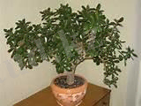 https://ust.kz/materials/docx/image/2019/december/d15/1576398752_html_4709addc3deeab4.jpg
