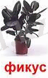 https://ust.kz/materials/docx/image/2019/december/d15/1576398752_html_b4cf07bb9b9470fb.jpg
