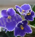 https://ust.kz/materials/docx/image/2019/december/d15/1576398752_html_43bde9f4c4bc55b5.jpg