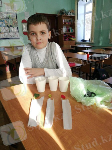 99731074_8