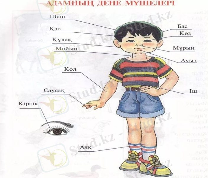 http://edunews.kz/uploads/posts/2020-12/1608184333_2.jpg