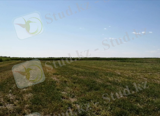C:\Users\user\Downloads\Screenshot_20200627_155233.jpg