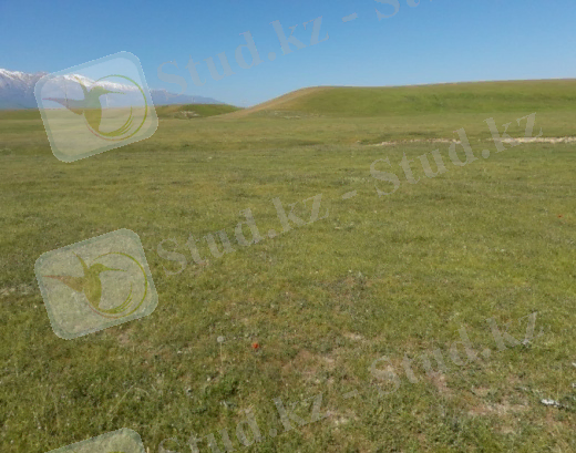C:\Users\Lenovo\Downloads\20190514_103707.jpg