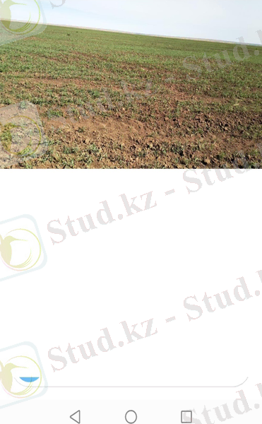 C:\Users\user\Downloads\Screenshot_20200627_161629_com.instagram.android.jpg