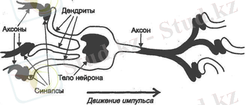 https://lh4.googleusercontent.com/7MWPDowfPuw34oS8P5dNwhauF20LHJzoCW7CPZiMnRH752pSG_3it7034Y1Sy7tI72q2u-7amZ0oi0vx_6PXqcZ3TaM3jNGXxvKZZ4jkwiAwTlKbE-77Zc4kRTA6rr5-gKwo0WBV
