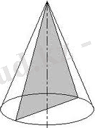 C:\Documents and Settings\User\Рабочий стол\КОНУС\images (7).jpg
