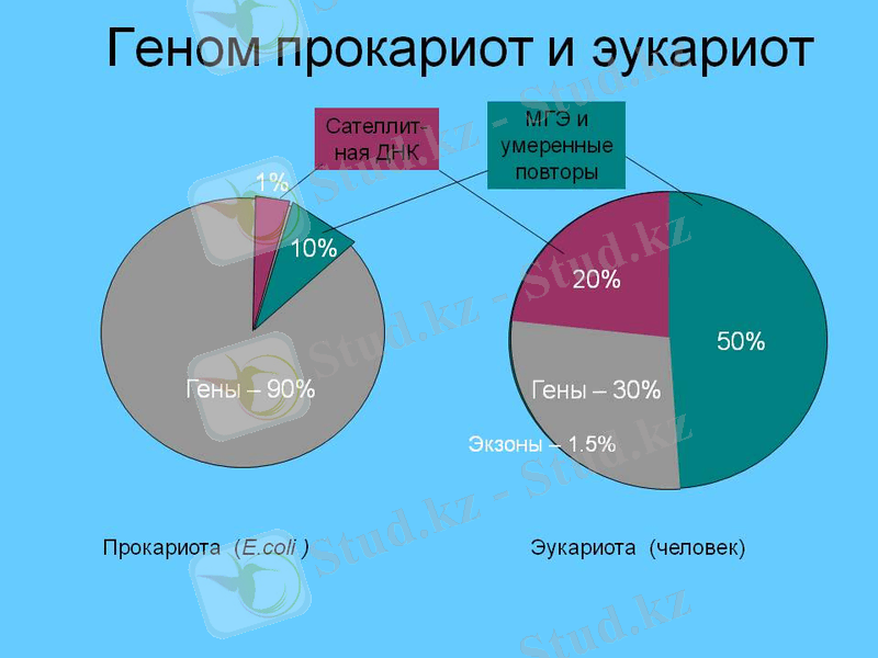 http://900igr.net/up/datas/106894/014.jpg