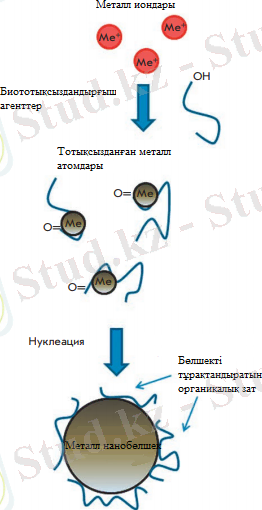 C:\Users\Moldi\AppData\Local\Microsoft\Windows\INetCache\Content.Word\Безымянный.png