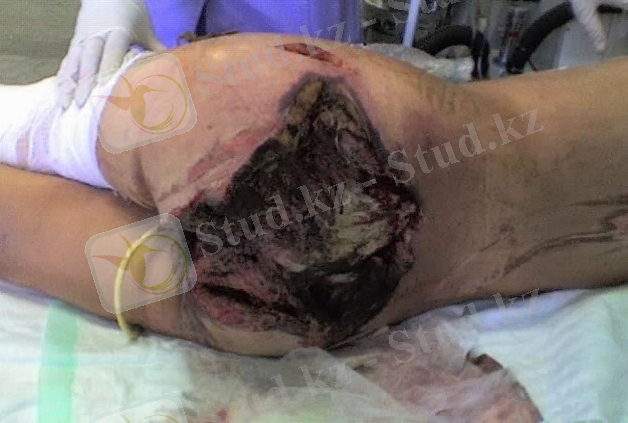 http://www.f-med.ru/foto/img/big5.jpg