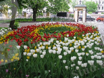 https://img-fotki.yandex.ru/get/6846/135379791.7/0_c5eeb_6f44a6d0_orig
