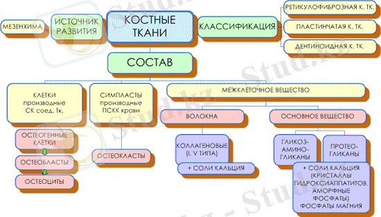 http://histology.narod.ru/lectures/lecture_08/graf_002.gif