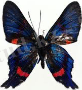hello_html_m71cdae74.jpg
