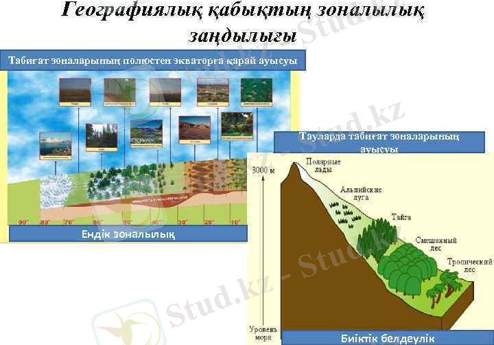 https://present5.com/presentation/323149204_437344184/image-7.jpg