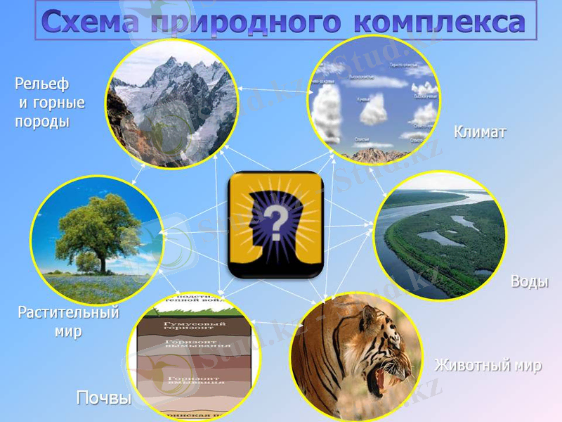 http://900igr.net/up/datas/23523/002.jpg
