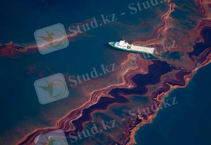 http://inapcache.boston.com/universal/site_graphics/blogs/bigpicture/oilspill_05_12/o31_23303705.jpg