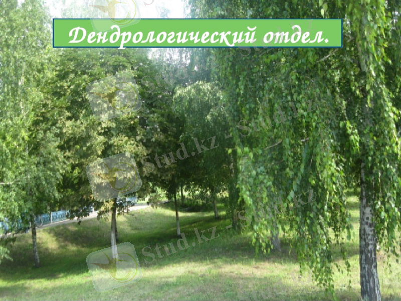 https://ds03.infourok.ru/uploads/ex/015a/00024b49-28620ae9/img7.jpg