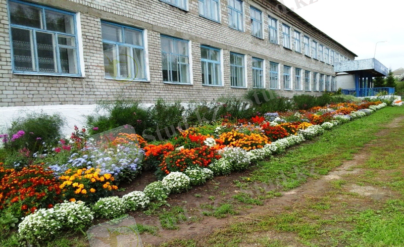 https://ds04.infourok.ru/uploads/ex/0e76/001382ed-430f54ac/2/hello_html_m26264d34.jpg
