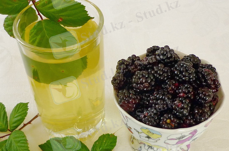 https://about-tea.ru/wp-content/uploads/f/d/c/fdc296be083872596f21b9dece2e3d63.jpeg