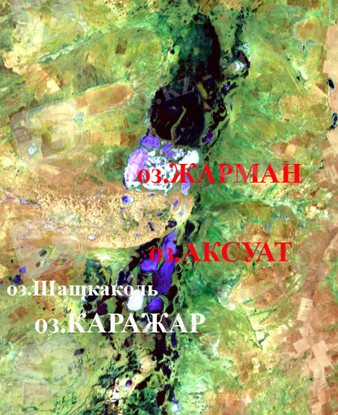 Naurzum11
