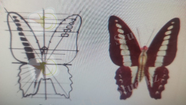 C:\Users\User1\Desktop\b9.jpg