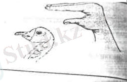 hello_html_m2a03ef15.png
