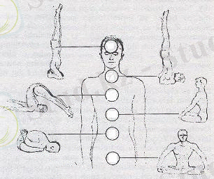 барлық Yoga