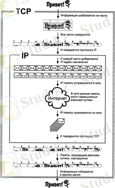 http://bourabai.kz/dbt/img/tcp.gif