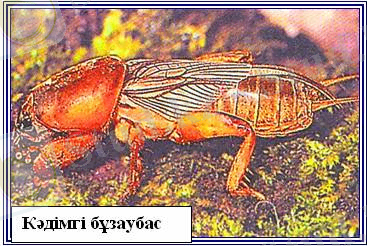 https://konspekta.net/lektsiiorgimg/baza13/3189138085092.files/image003.jpg