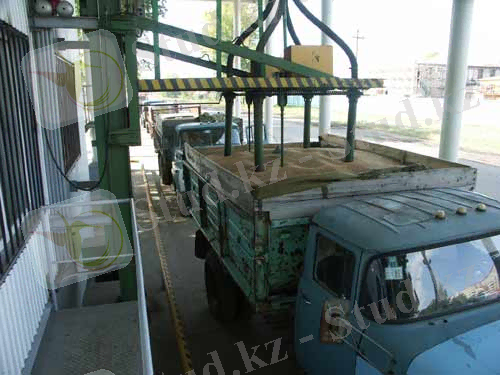 probootbornik_1
