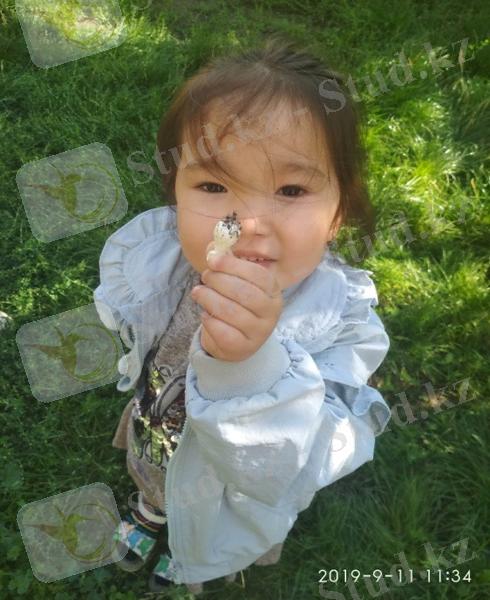 IMG_20190911_113438.jpg