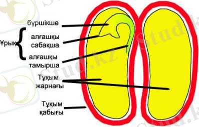 C:\Users\Жанболат\Downloads\383273_13.jpeg