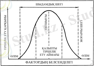 новый-3