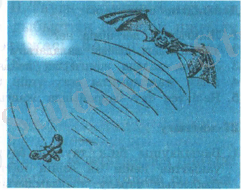 https://upload.wikimedia.org/wikipedia/kk/thumb/3/38/Fiz_10.png/250px-Fiz_10.png
