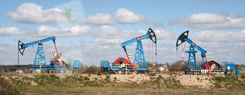 https://f.azh.kz/news-kaz/12150.jpg
