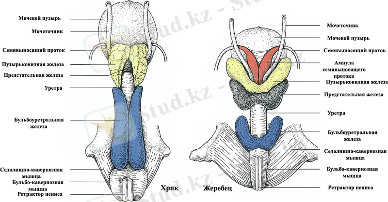 https://nsau.edu.ru/htmldocs/4728/img/img_106.jpg