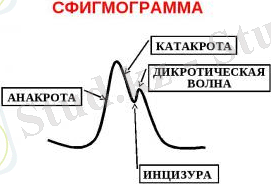 D:\SR\Pictures\би\img14.jpg