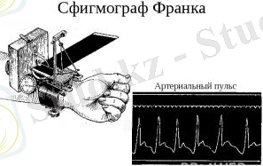 D:\SR\Pictures\би\img15.jpg