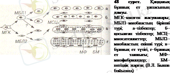 http://ebooks.semgu.kz/ebook/7/images/1170/819/clip_image002.gif