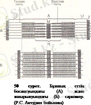 http://ebooks.semgu.kz/ebook/7/images/1170/819/clip_image006.gif